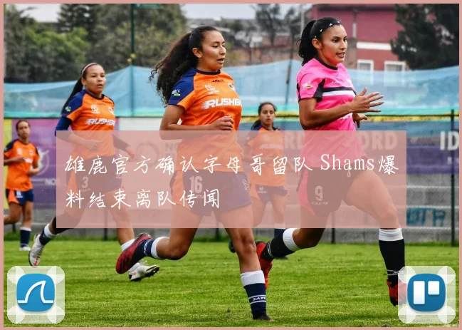 雄鹿官方确认字母哥留队 Shams爆料结束离队传闻